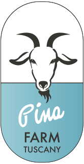 Pina