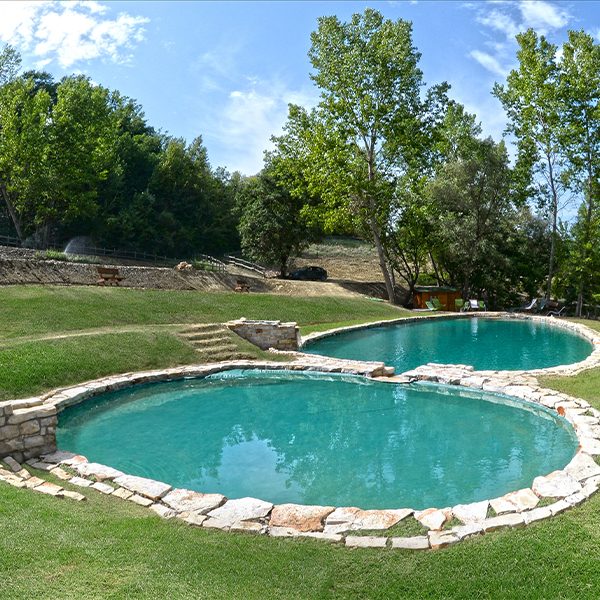 day-natural-pool-600x600